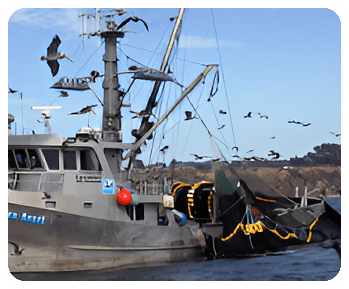 Fishing boat with birds flying overhead.